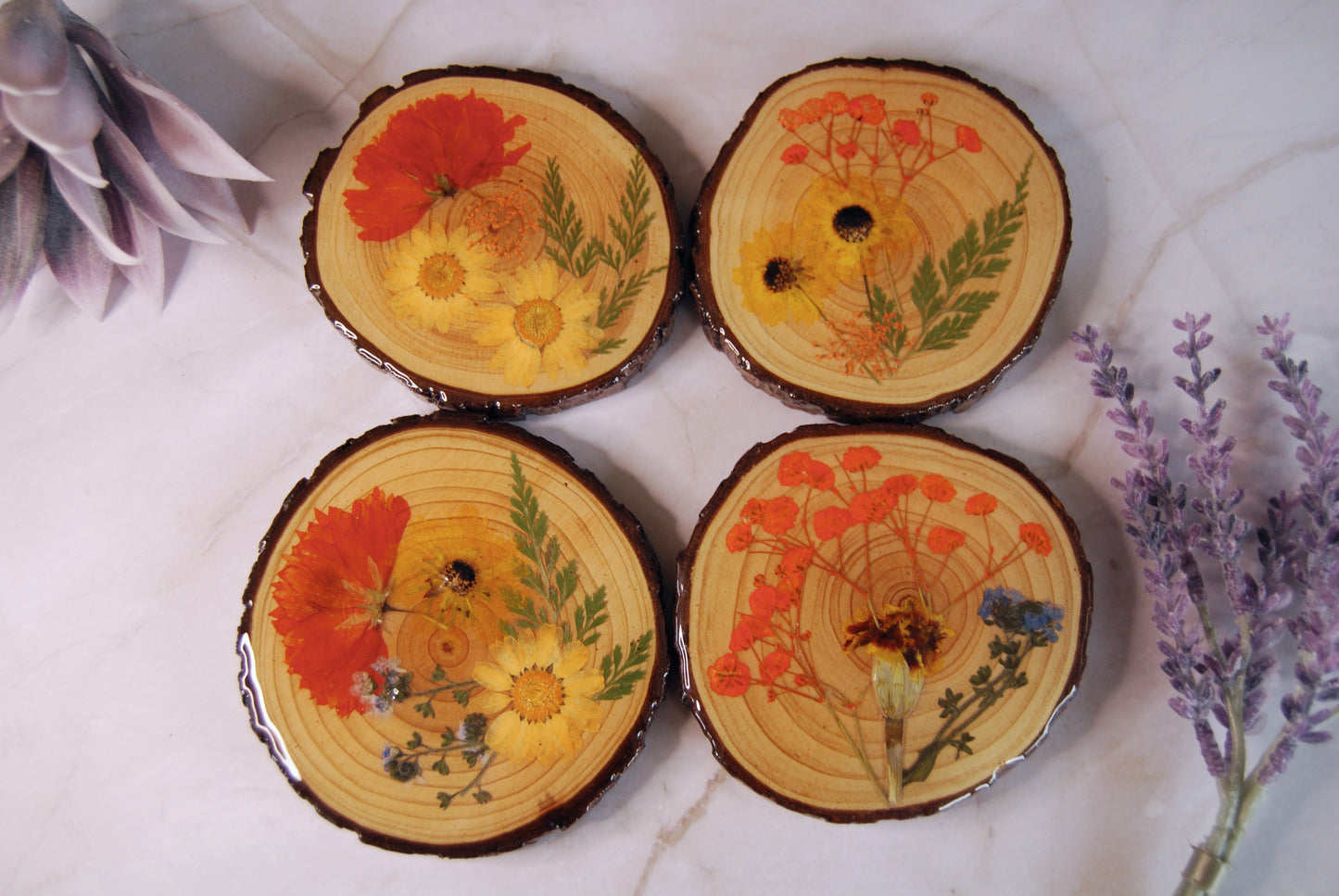 Fall Floral Coasters
