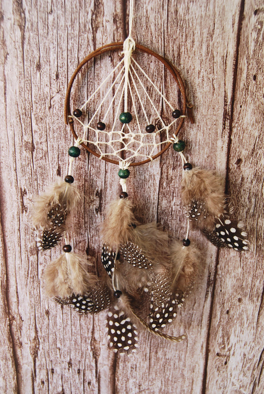 Small Dream Catcher With Spotted Feathers